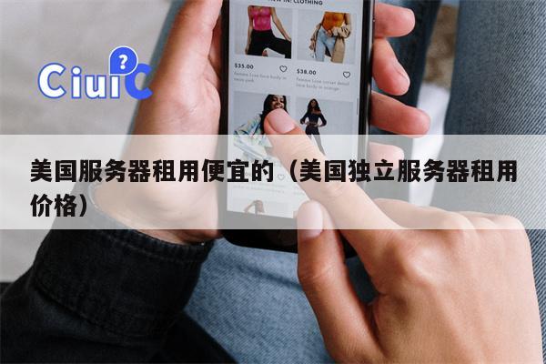 美国服务器租用便宜的（美国独立服务器租用价格）