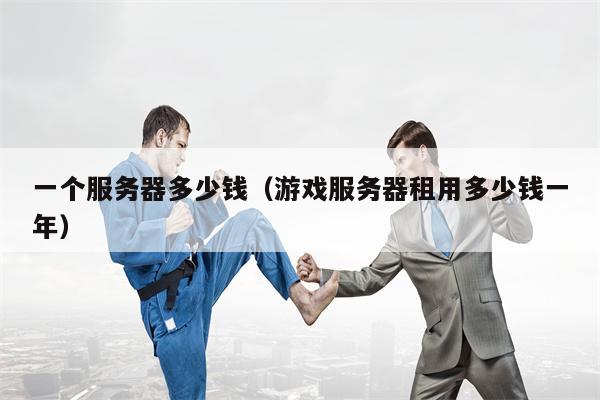 一个服务器多少钱（游戏服务器租用多少钱一年）