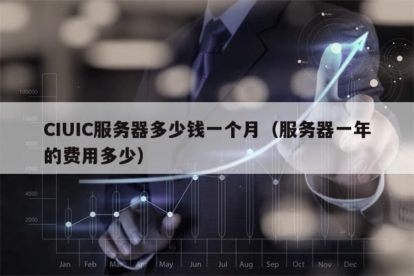 CIUIC服务器多少钱一个月（服务器一年的费用多少）