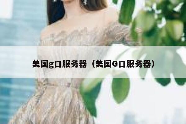 美国g口服务器（美国G口服务器）