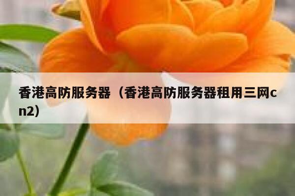 香港高防服务器（香港高防服务器租用三网cn2）