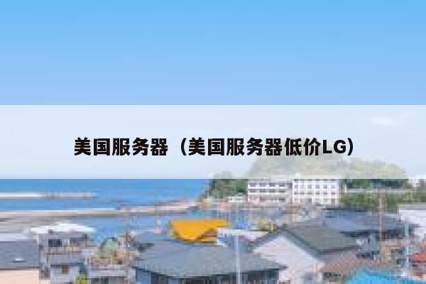 美国服务器（美国服务器低价LG）