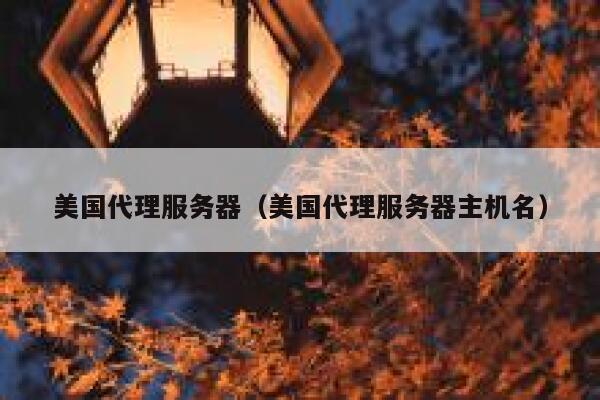 美国代理服务器（美国代理服务器主机名）