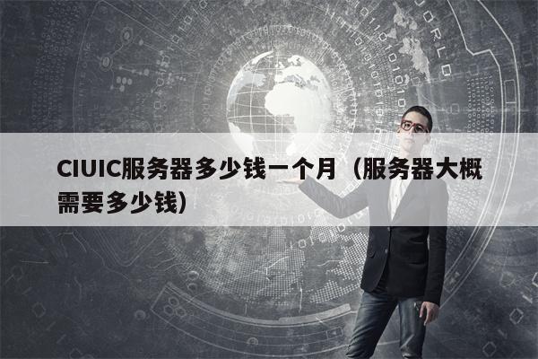 CIUIC服务器多少钱一个月（服务器大概需要多少钱）