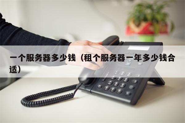 一个服务器多少钱（租个服务器一年多少钱合适）