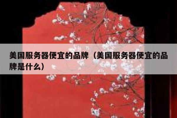 美国服务器便宜的品牌（美国服务器便宜的品牌是什么）