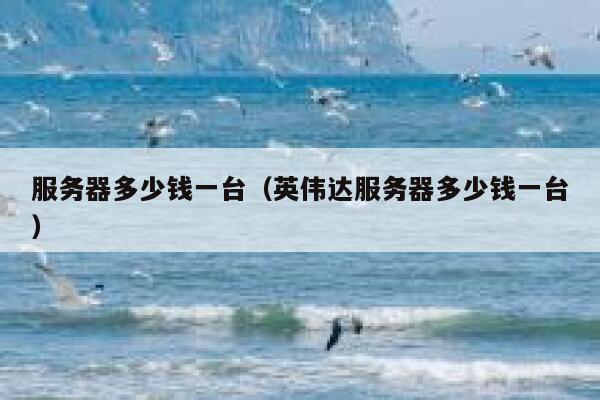 服务器多少钱一台（英伟达服务器多少钱一台）