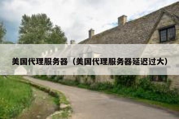 美国代理服务器（美国代理服务器延迟过大）