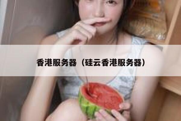 香港服务器（硅云香港服务器）