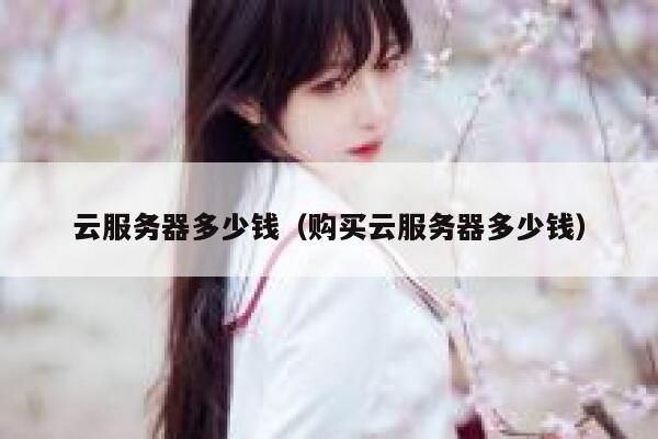 云服务器多少钱（购买云服务器多少钱）