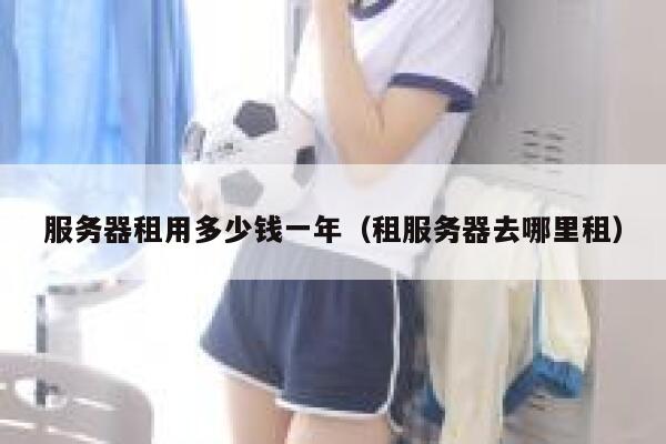 服务器租用多少钱一年（租服务器去哪里租）
