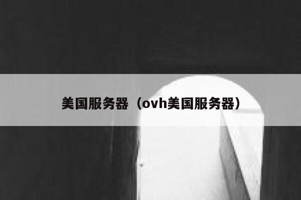 美国服务器（ovh美国服务器）